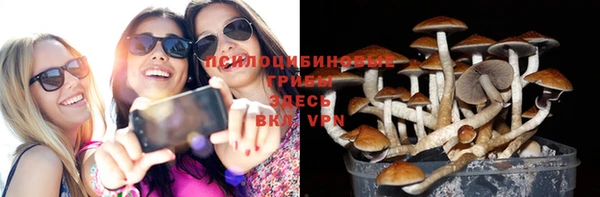 а пвп мука Россошь