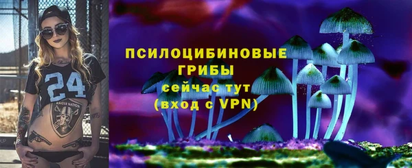 дмт Рославль